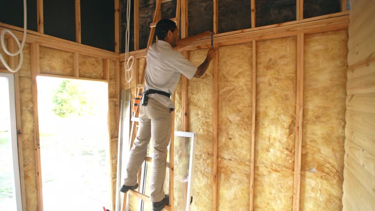 Best Batt and Roll Insulation  in Knik Fairview, AK