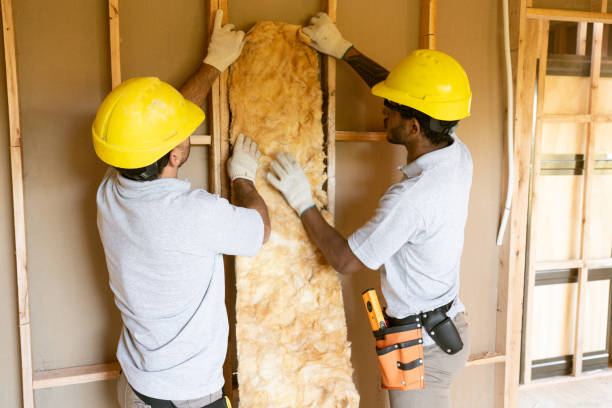 Best Insulation for New Construction  in Knik Fairview, AK